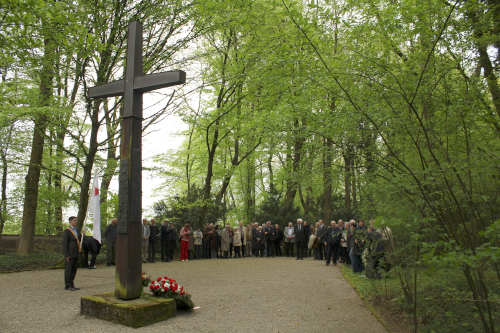 Leitenberg2015