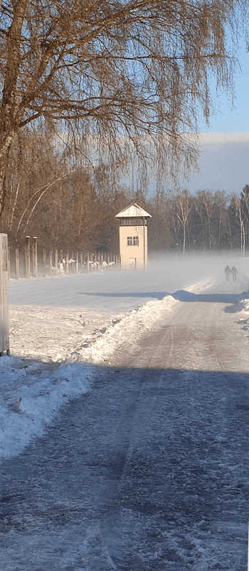 IMG 20231207 092037