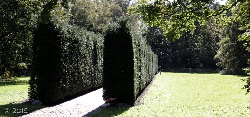 IMG 0657