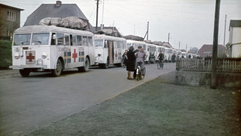 HviteBusser Padborg