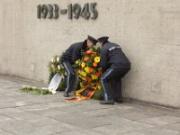 IMG 8133