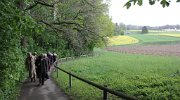 IMG 7681